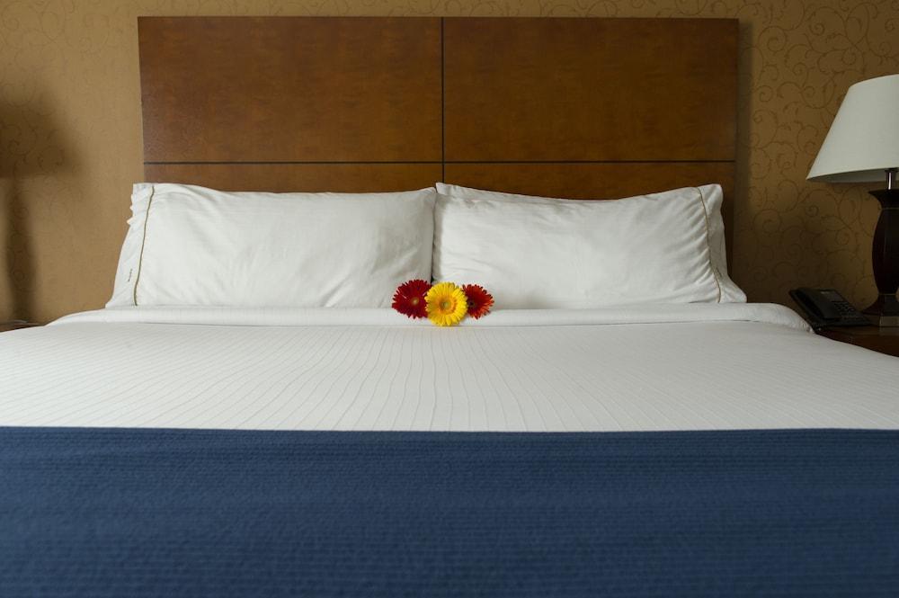 Sandman Hotel & Suites London Downtown מראה חיצוני תמונה